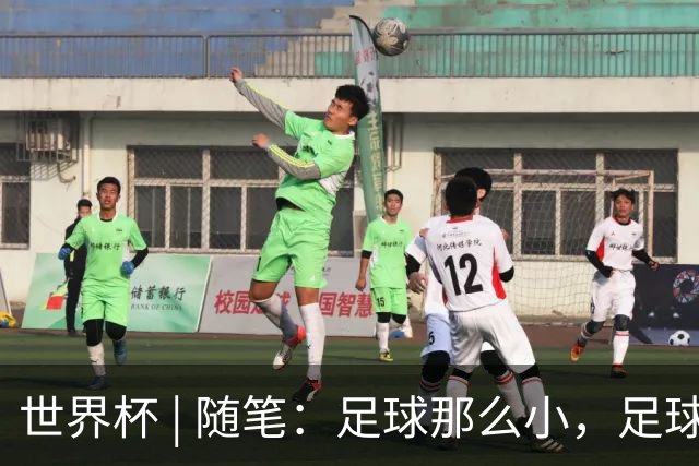 世界杯 | 随笔：足球那么小，足球这么大