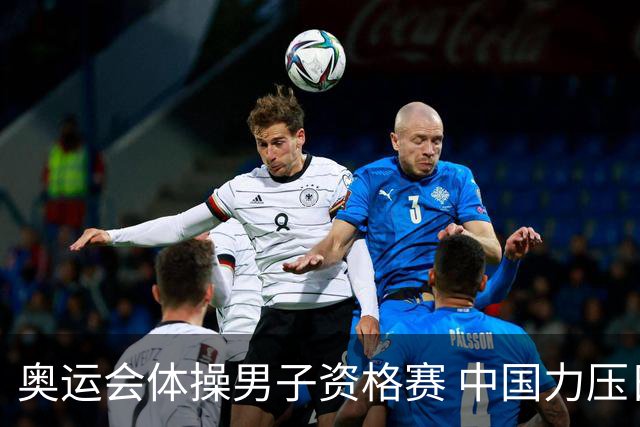 奥运会体操男子资格赛 中国力压日本排名第一晋级