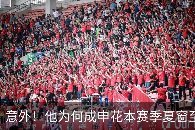 意外！他为何成申花本赛季夏窗至今为止唯一新援，背后原因找到了