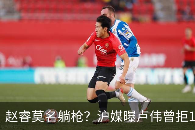 赵睿莫名躺枪？沪媒曝卢伟曾拒1国手，直指性格有问题，真是他？