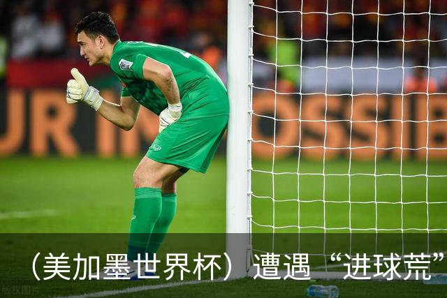 （美加墨世界杯）遭遇“进球荒”，“亚洲一哥”孙兴慜“廉颇老矣”？